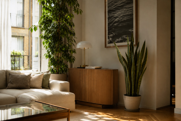 Sala de estar com plantas de interior junto à janela para ajudar a manter a casa mais fresca no verão